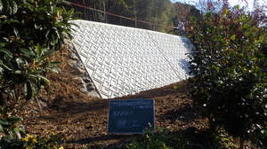 RIMG0318.JPGのサムネイル画像